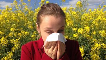 Alergia – Całoroczny kalendarz dla alergików
