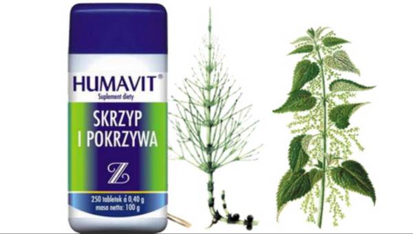 Czego jeszcze o nie wiecie o skrzypie i pokrzywie? Panaceum na wypadanie włosów