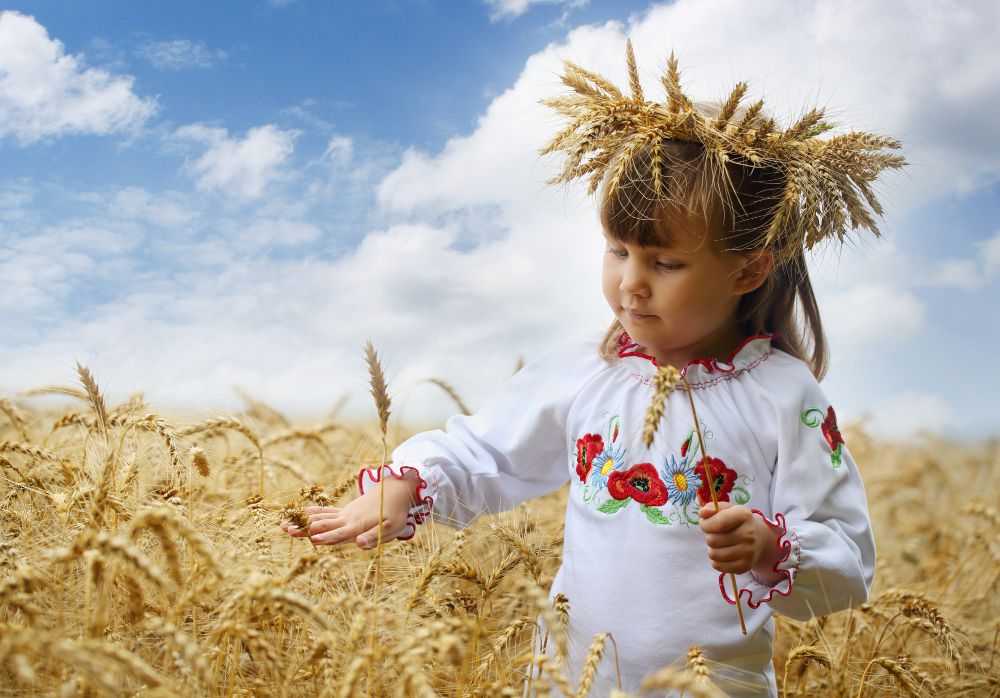 dziewczyna a  w polskim stroju regionalnym zbiera zboże