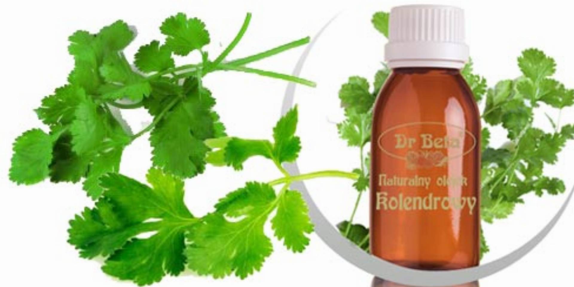 Olejek kolendrowy Dr Beta