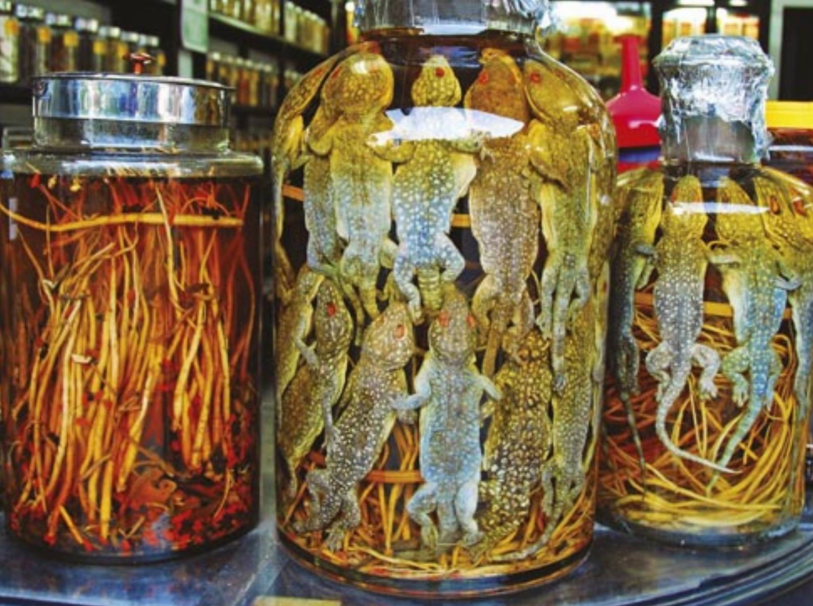 Danuta Gryka - zdjęcia z podróży