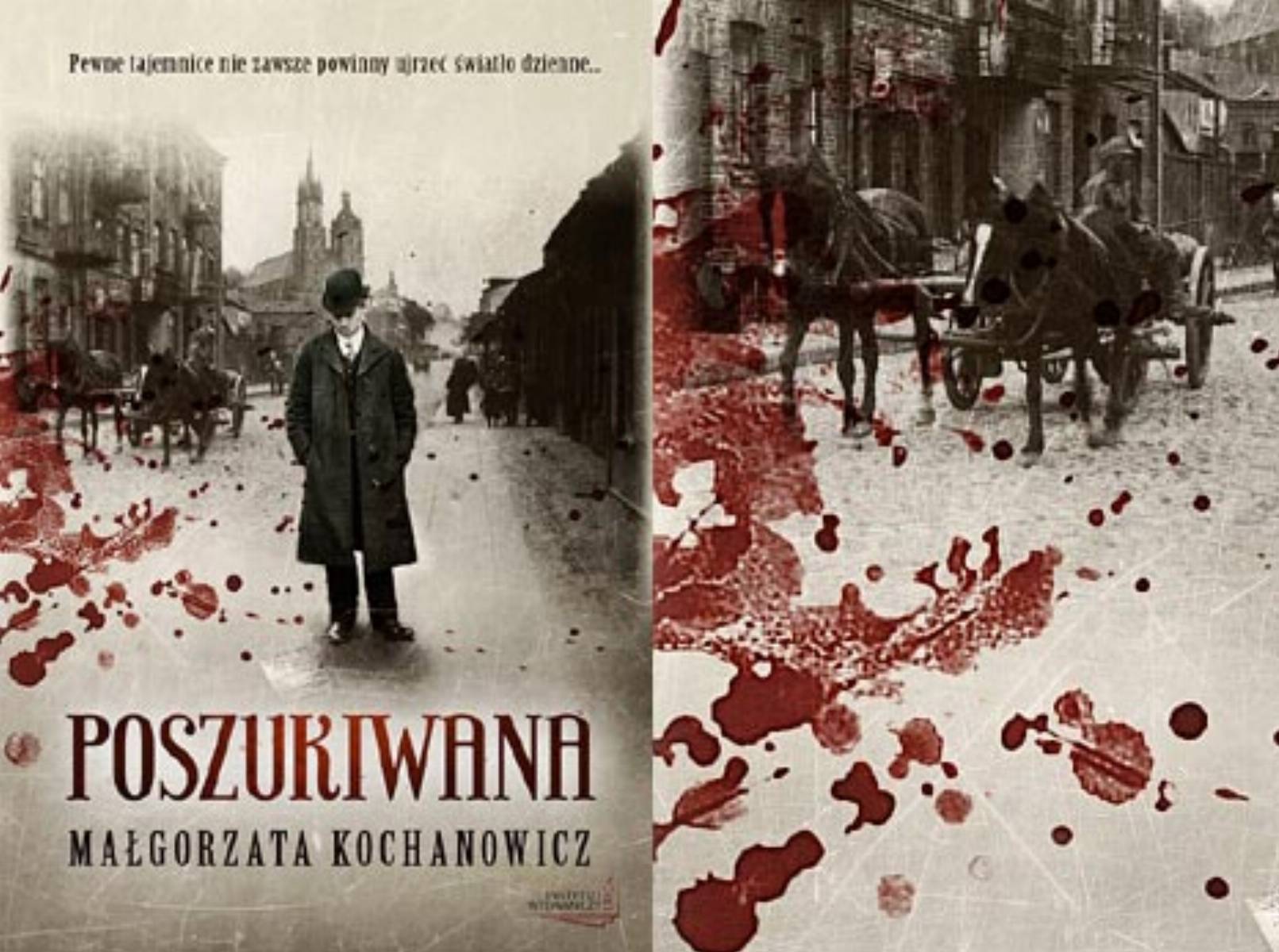 Malgorzata Kochanowicz - Poszukiwana