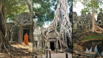 Angkor Wat – jak się dostać,co oglądać. Podróż w czasie
