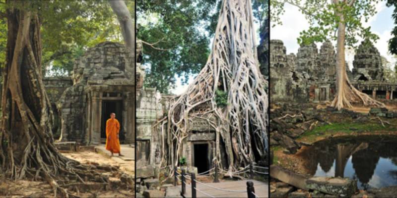 Angkor Wat - jak się dostać,co oglądać.