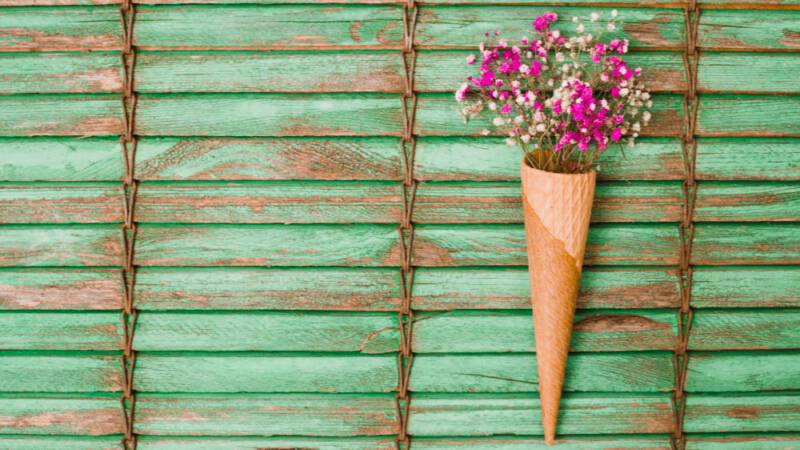 Jak założyć mini ogródek - DIY fr Jak założyć mini ogródek - DIY