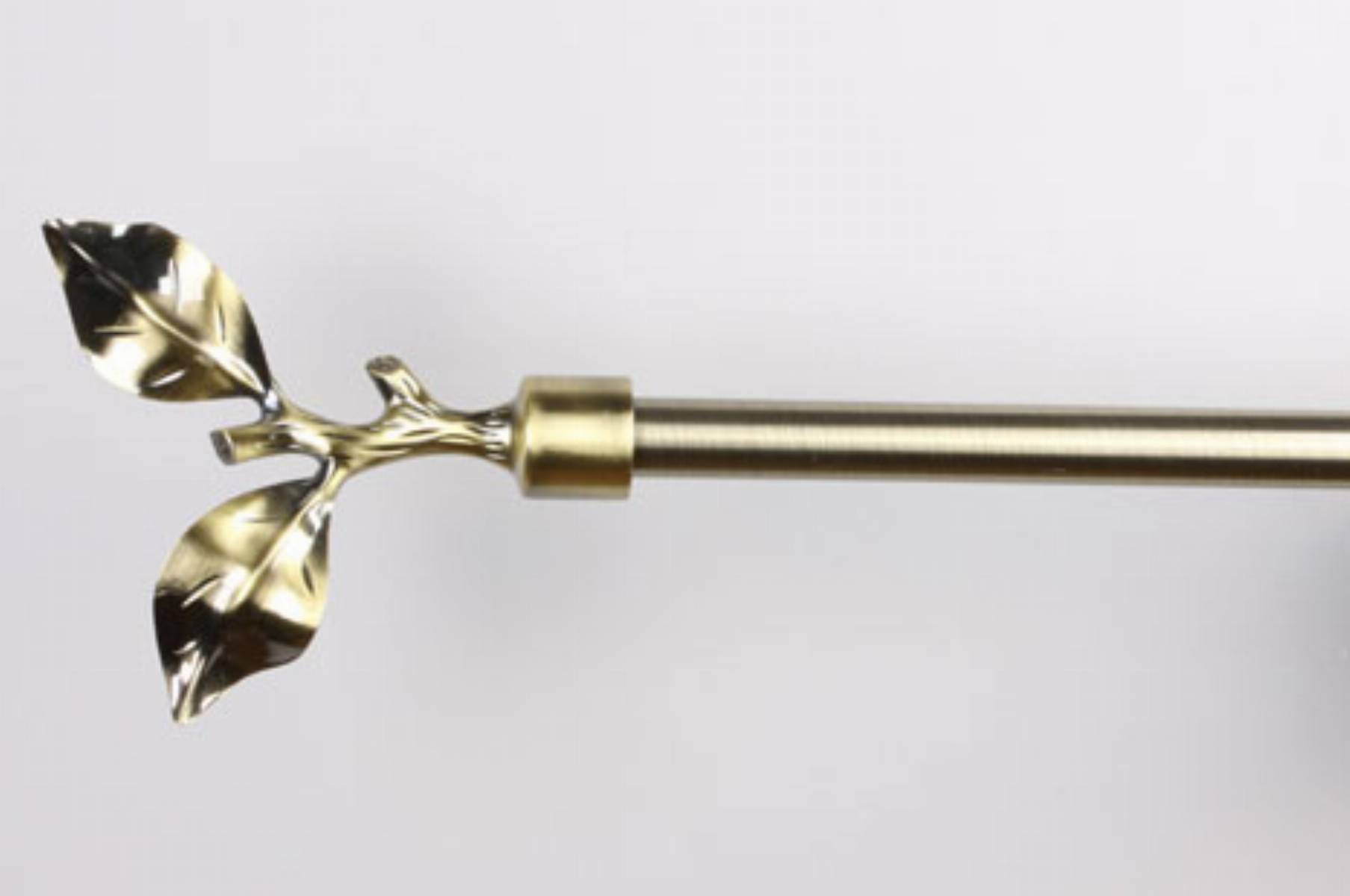 Franc Gardiner na jesien 2013 (2)