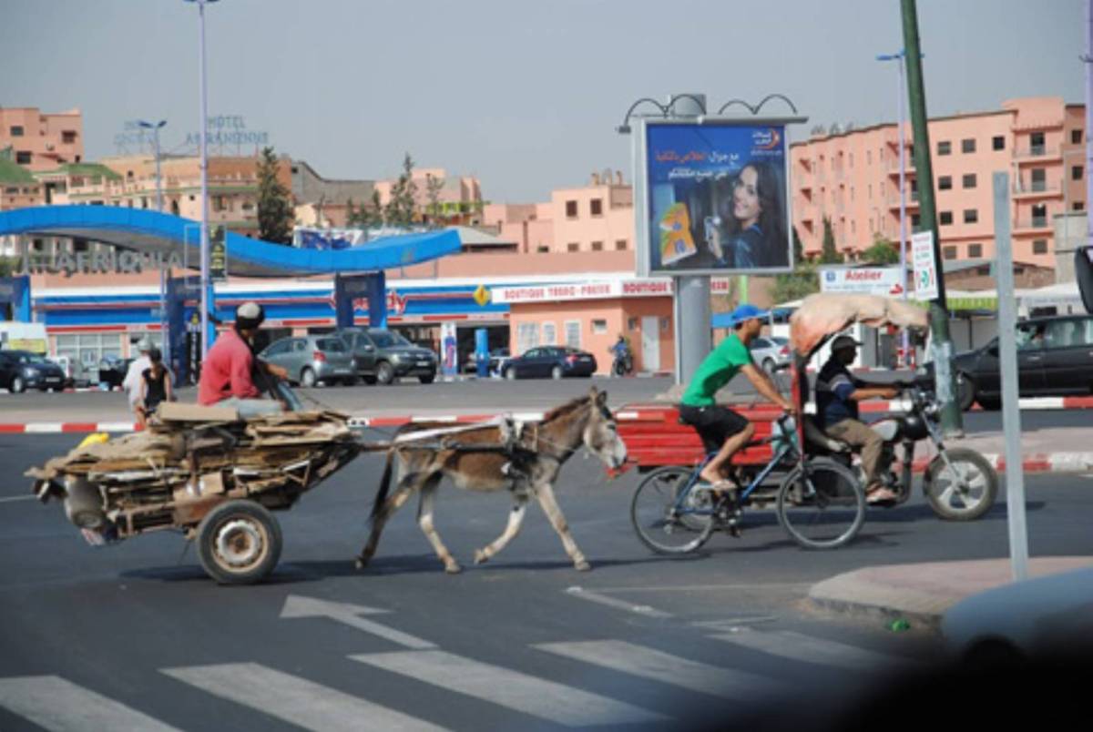 e4kongo.pl_9dzien_Expedycji_Marakesz_Nowoczesnosc-i-tradycja_foto_D.Sikorska_W.Stopka_Brzyskowy.2013.