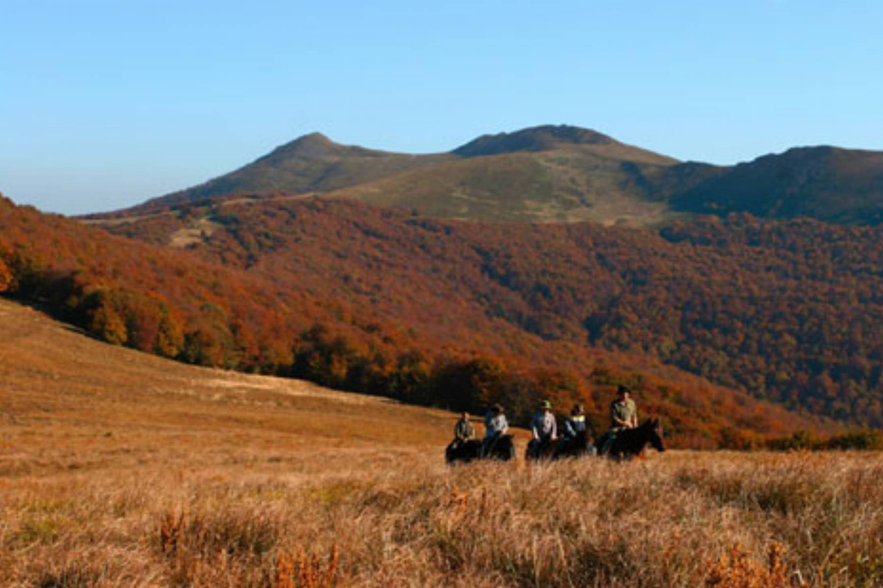 Bieszczady Polonina Wetlinska fot. Waldek Sosnowski