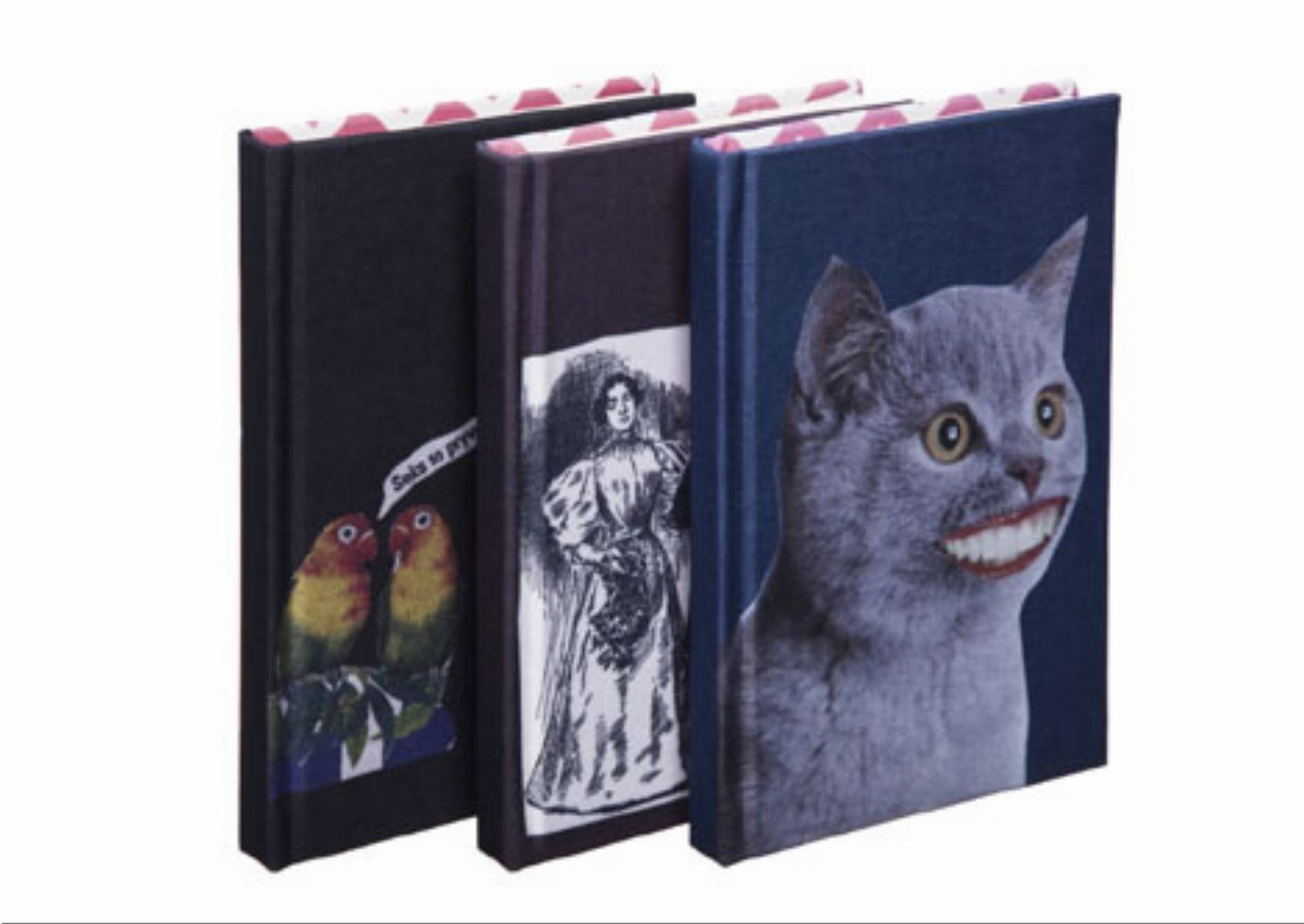 Empik - Akcesoria z szuflady Wislawy Szymborskiej (3)