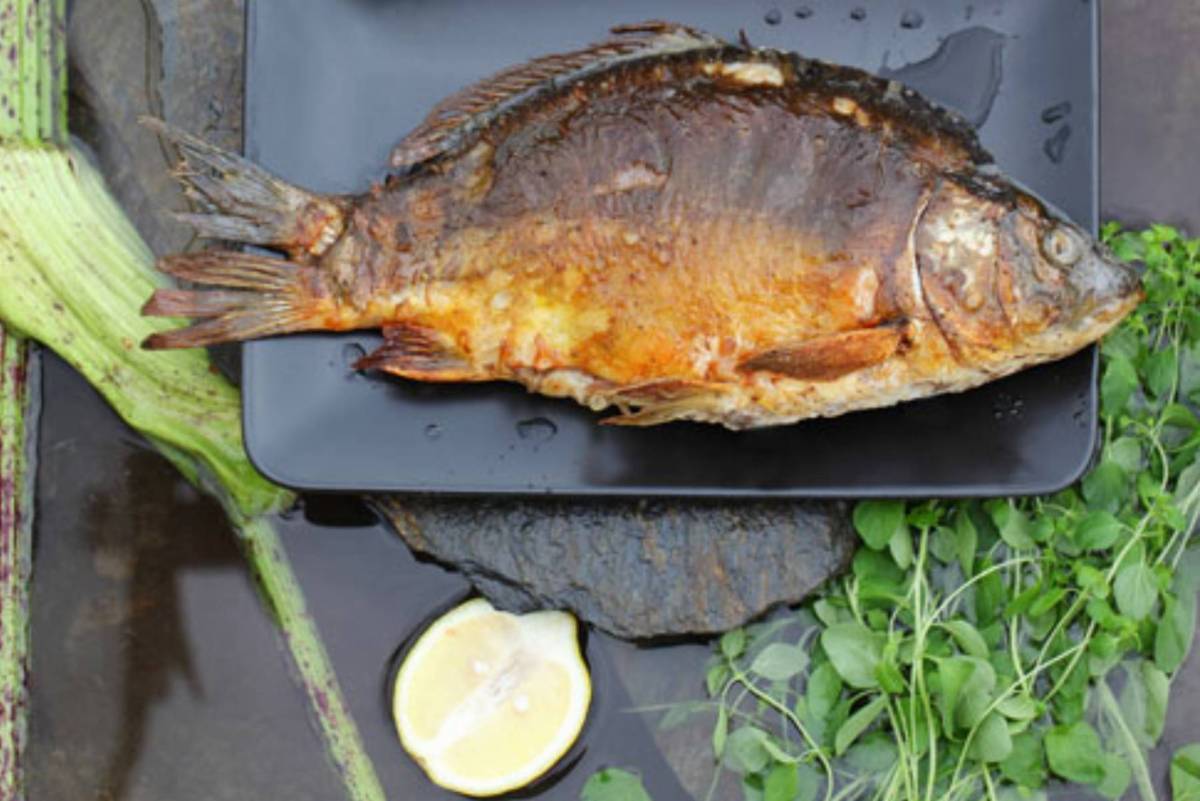 Złocisty karp z ziołami