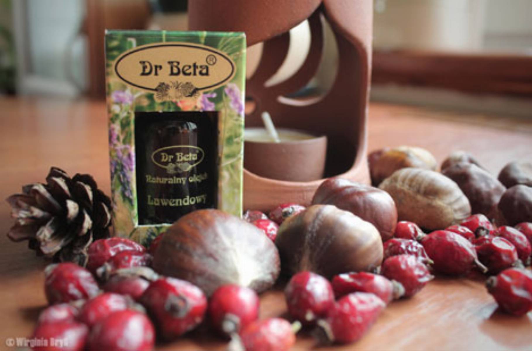 Dr Beta fot. Wirginia Bryll