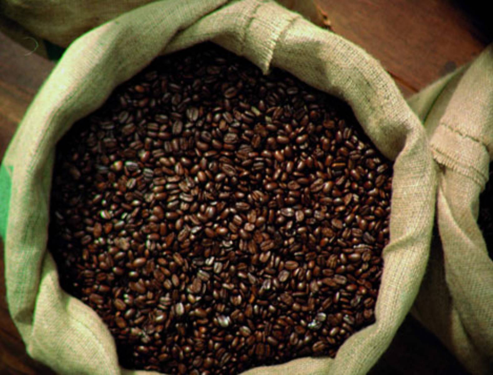 Kawa fot. Segafredo Zanetti