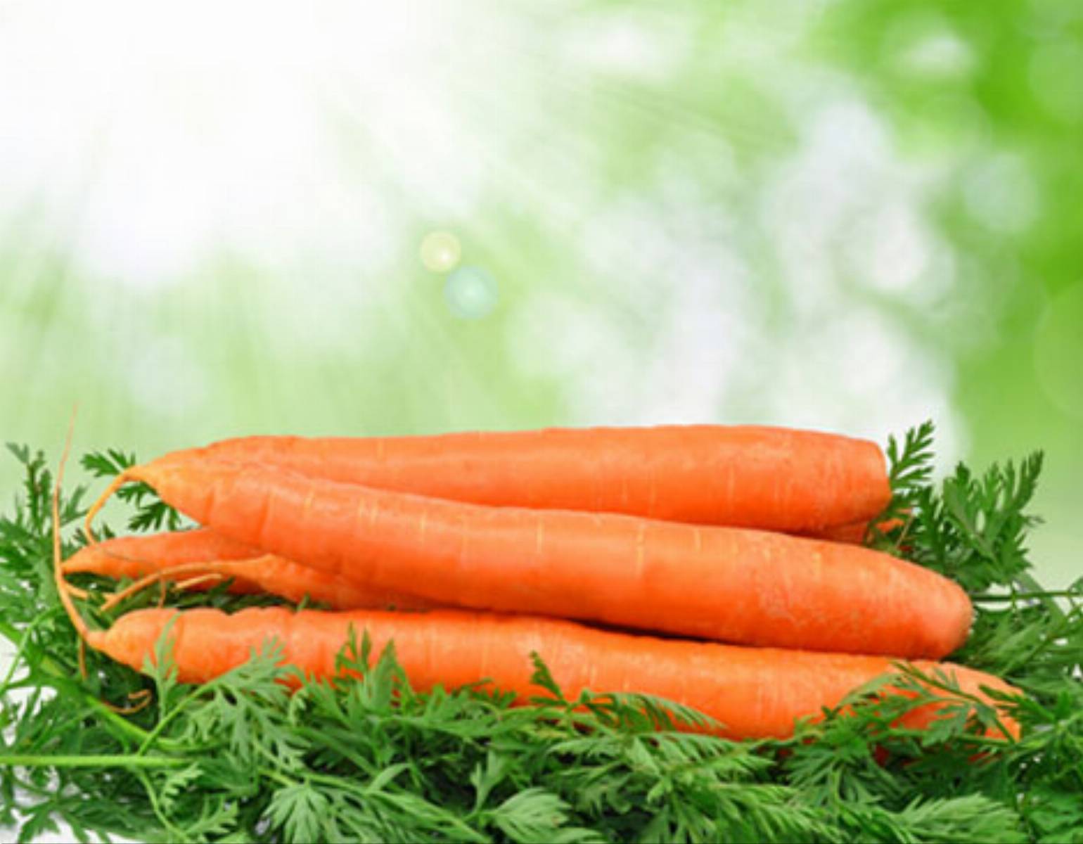 Морковь килокалории. Калорийность морковки. Морковь калории. 1 Морковь калорийность. Морковка ккал.