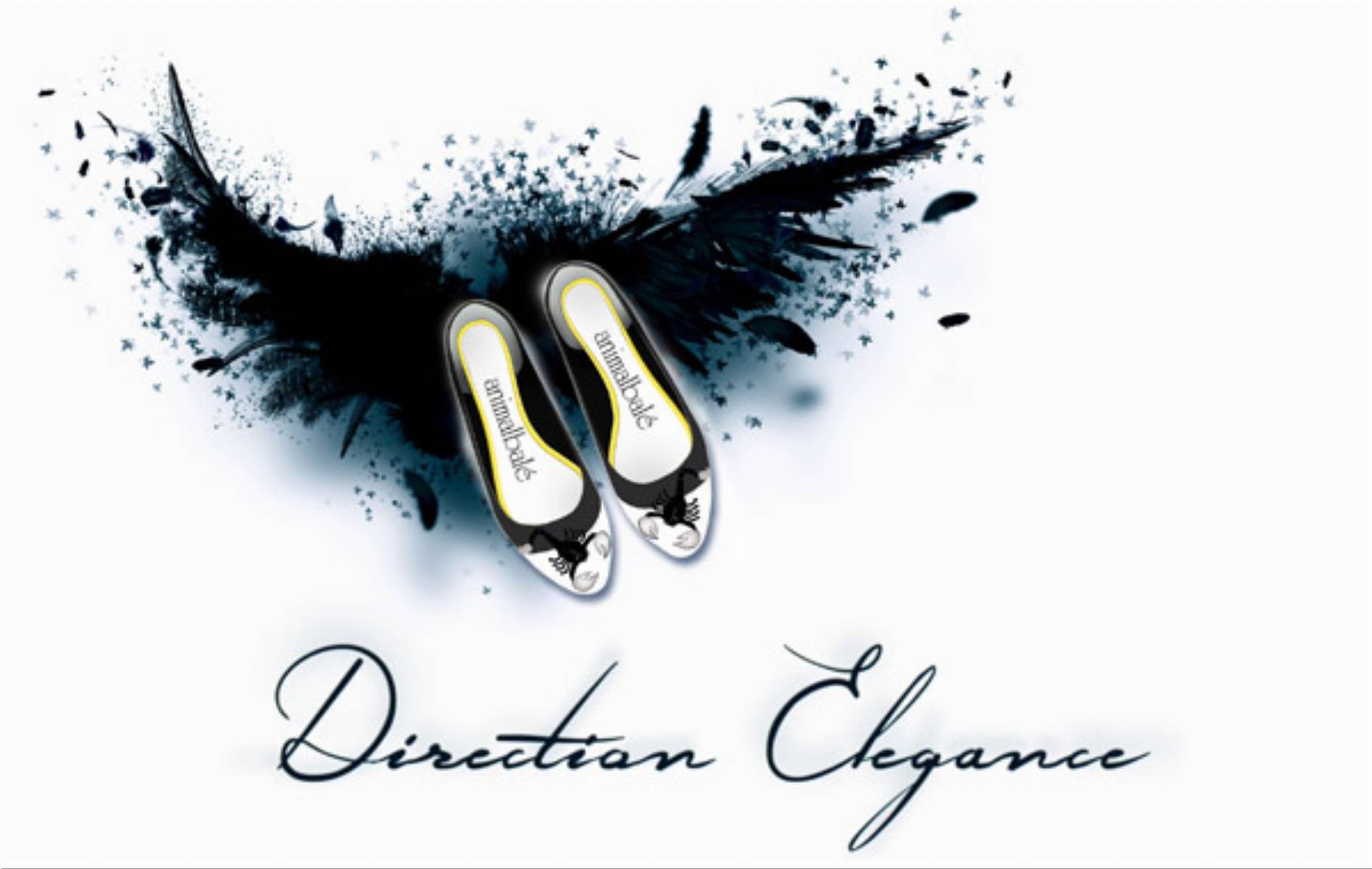 direction_elegance