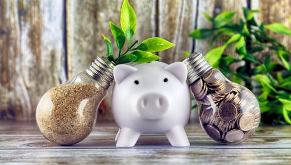 Zbliżenie świnki skarbonki na stole