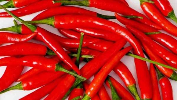 Papryka Cayenne – dla zdrowia i urody