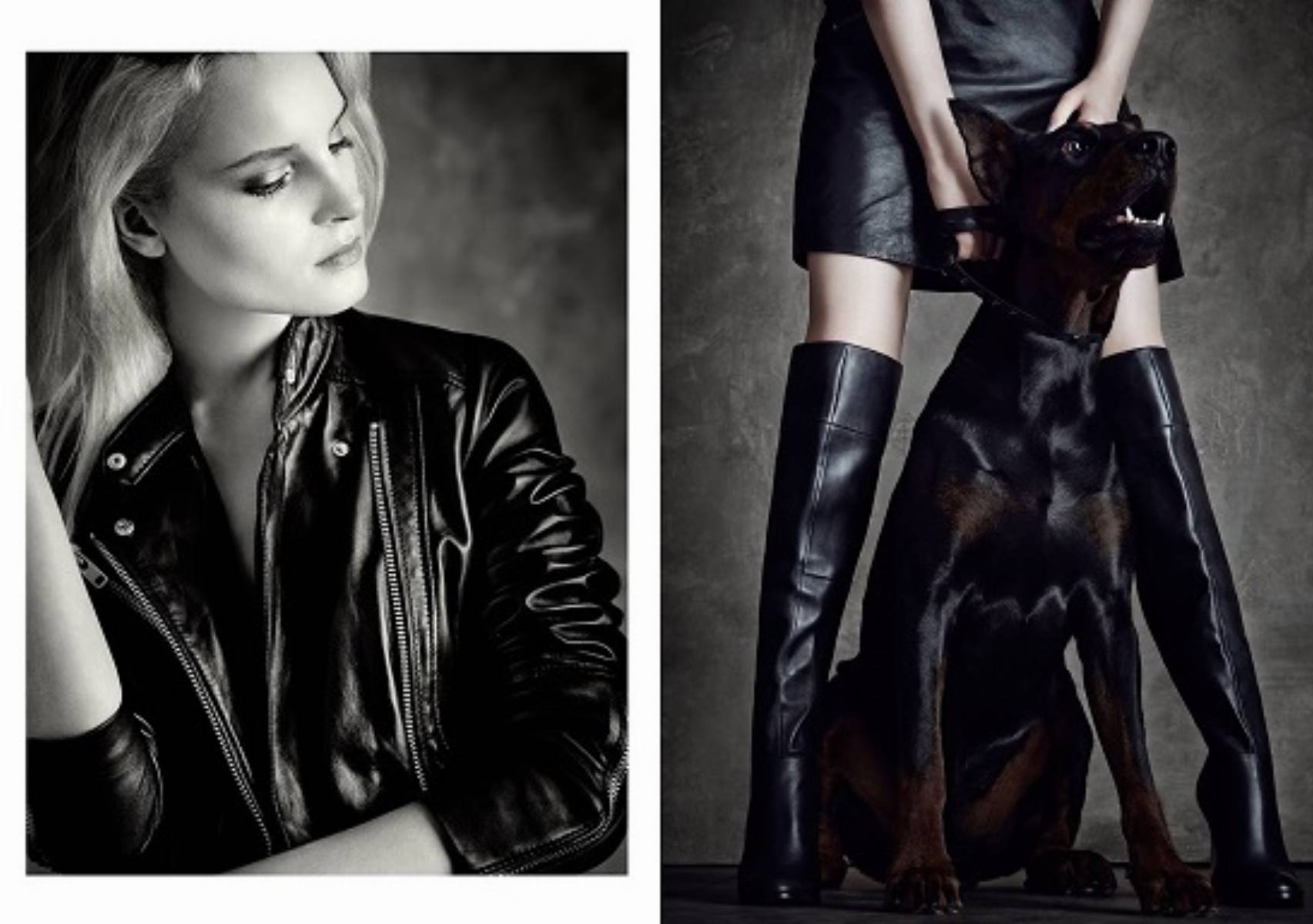 Mohito jesien-zima 2014-2015 GOLD LABEL