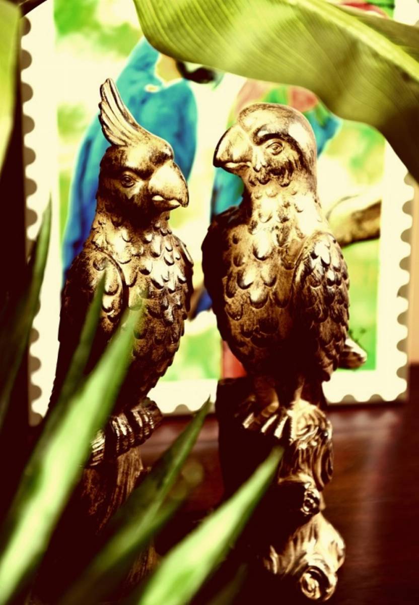 W dzungli - aranzacja Empik (3)