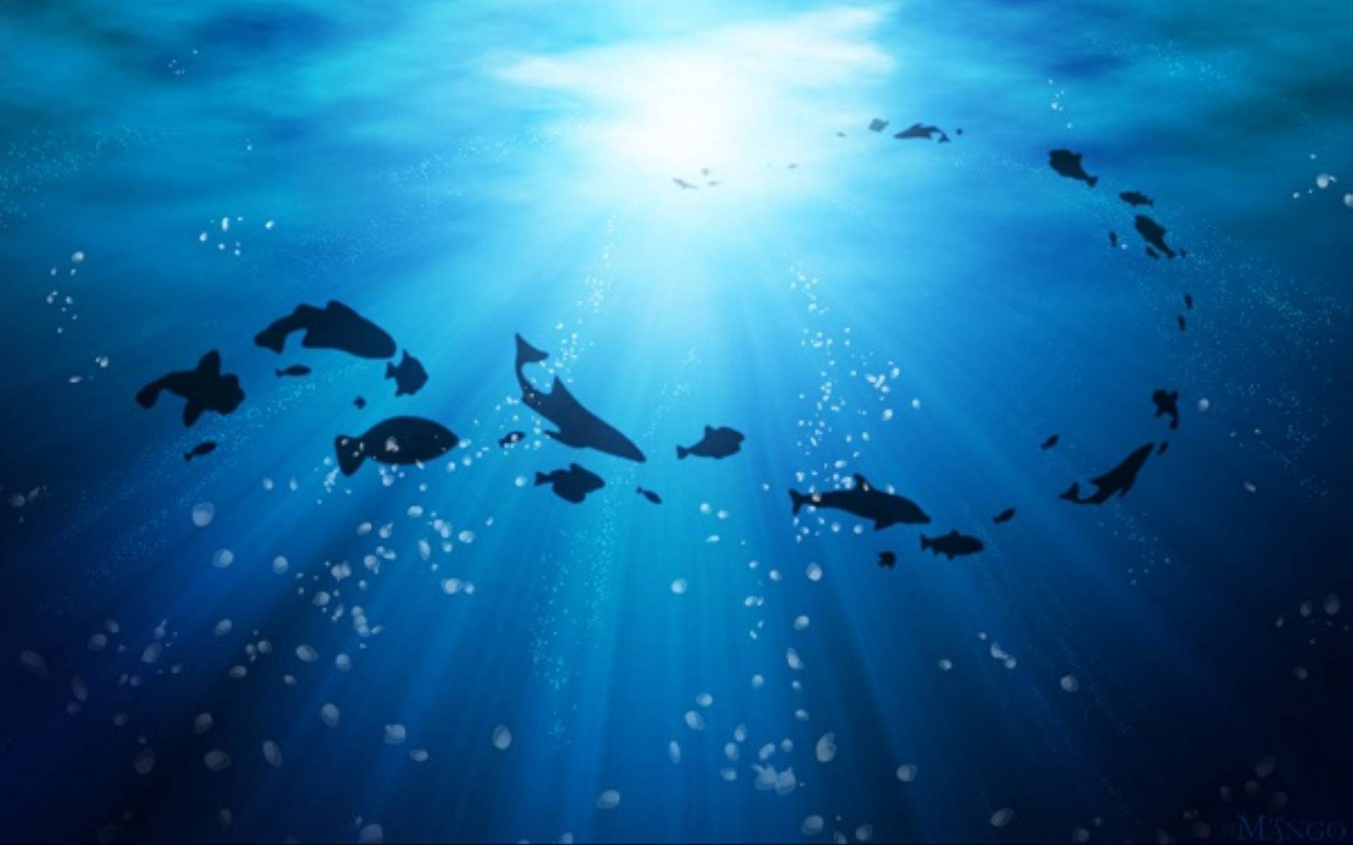 Ocean