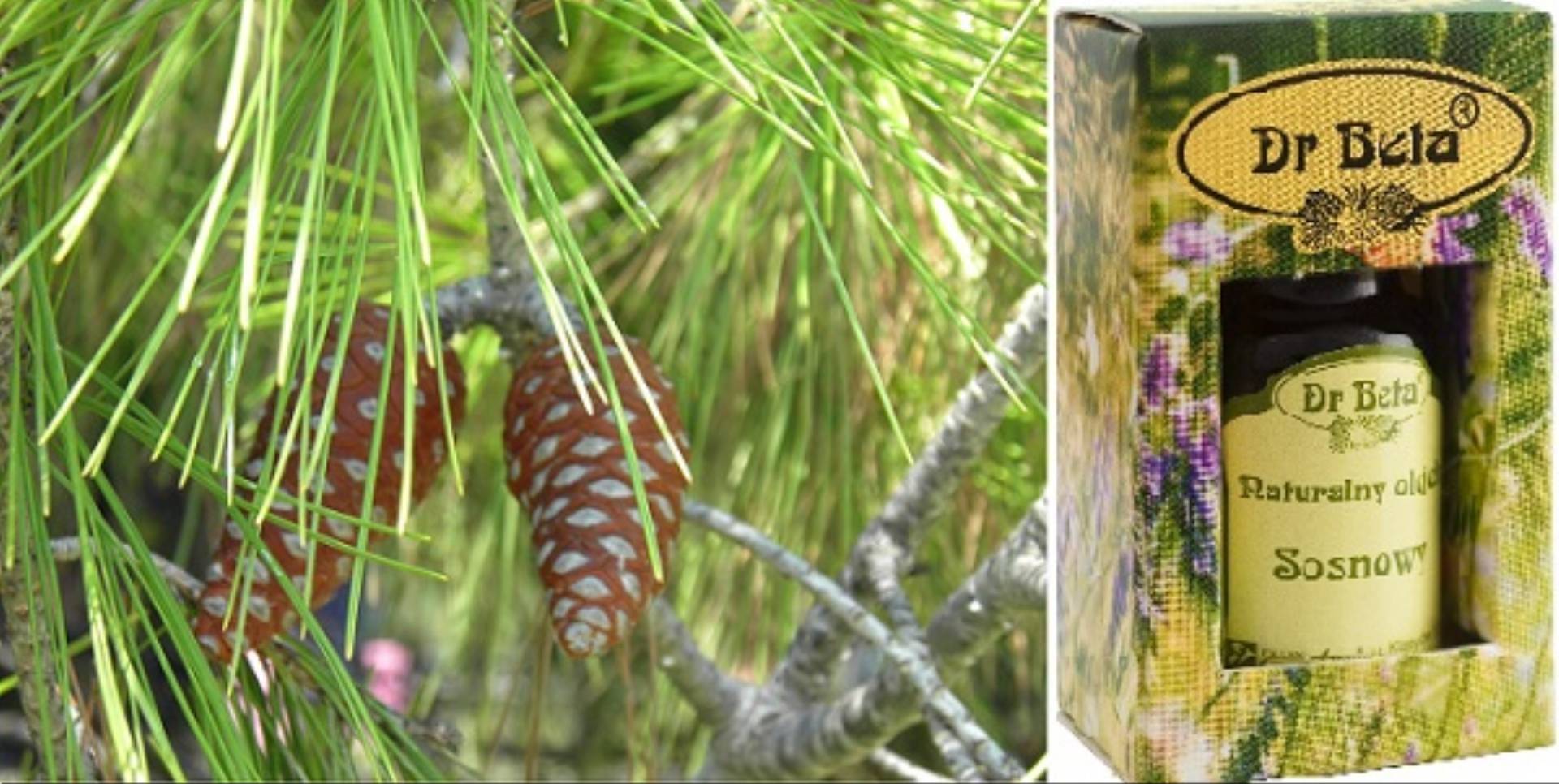 Olejki eteryczne na jesien