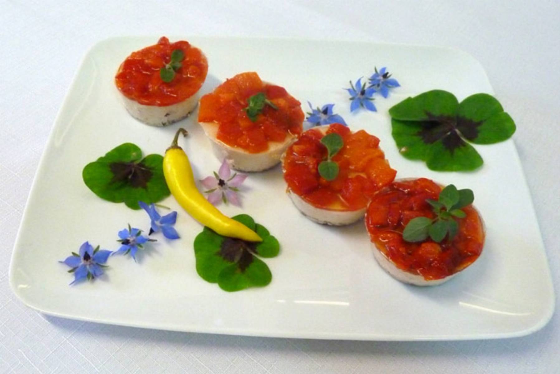 Terrina z serka Bieluch z papryką, pomidorami i chili