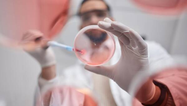 naukowiec bada komórkę