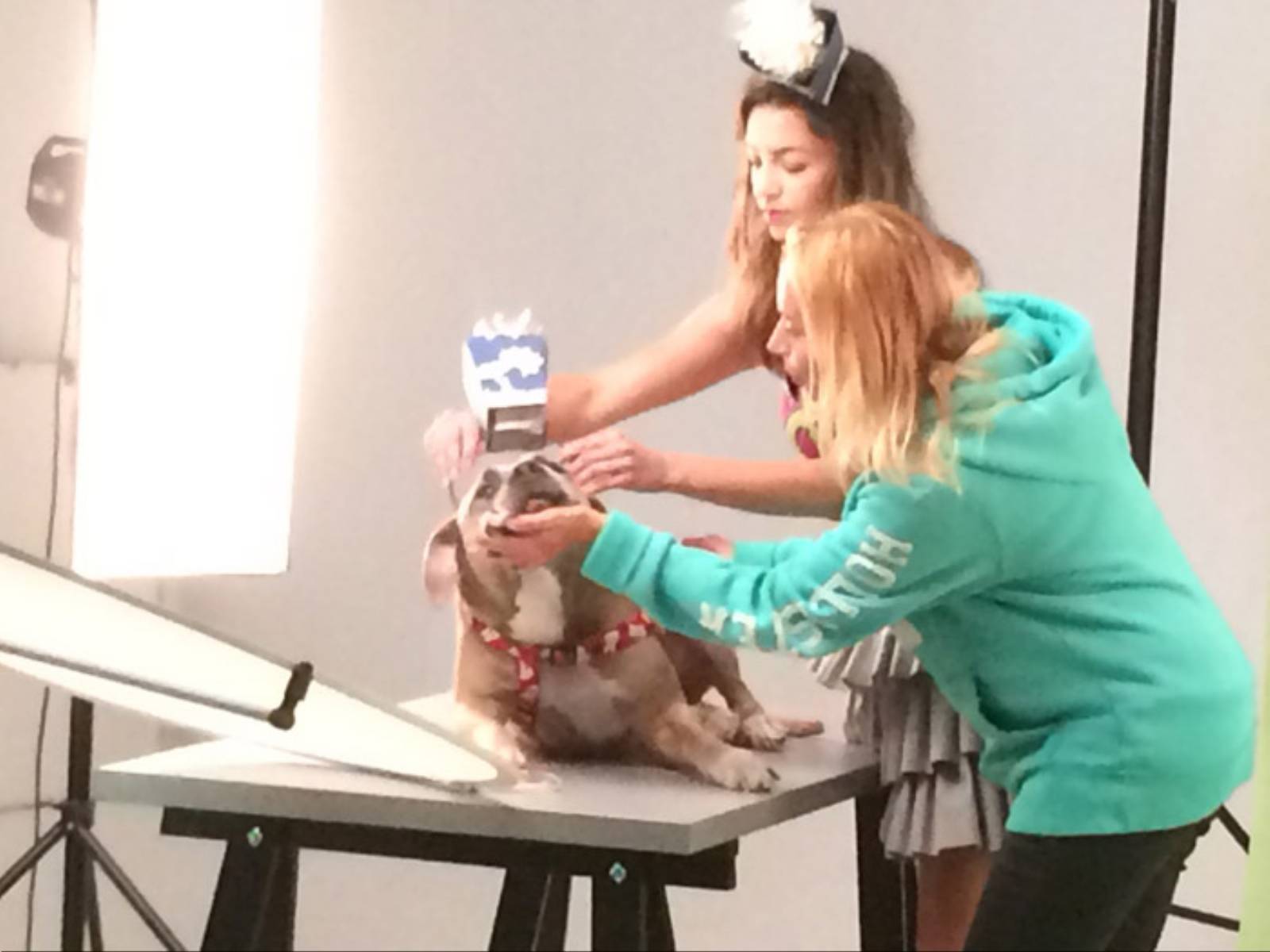 Paka dla Bezdomniaka (1)