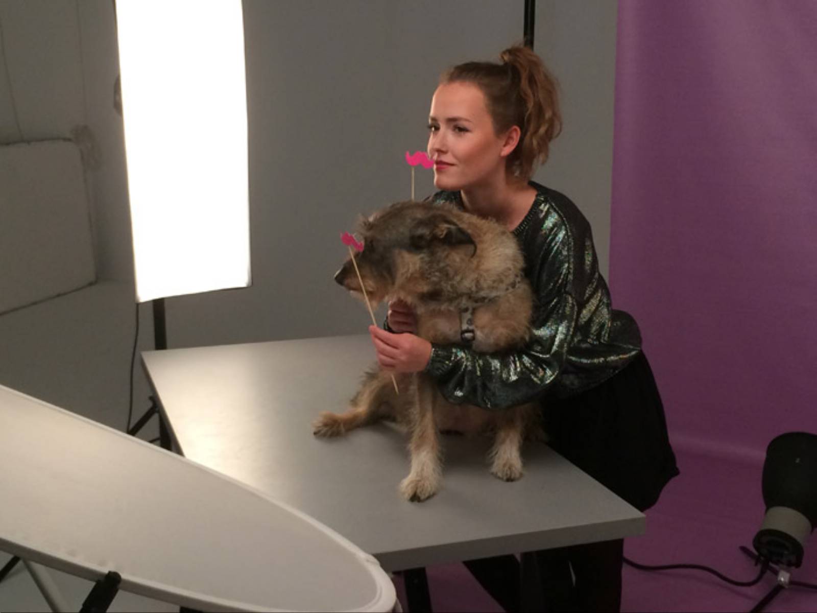 Paka dla Bezdomniaka (4)