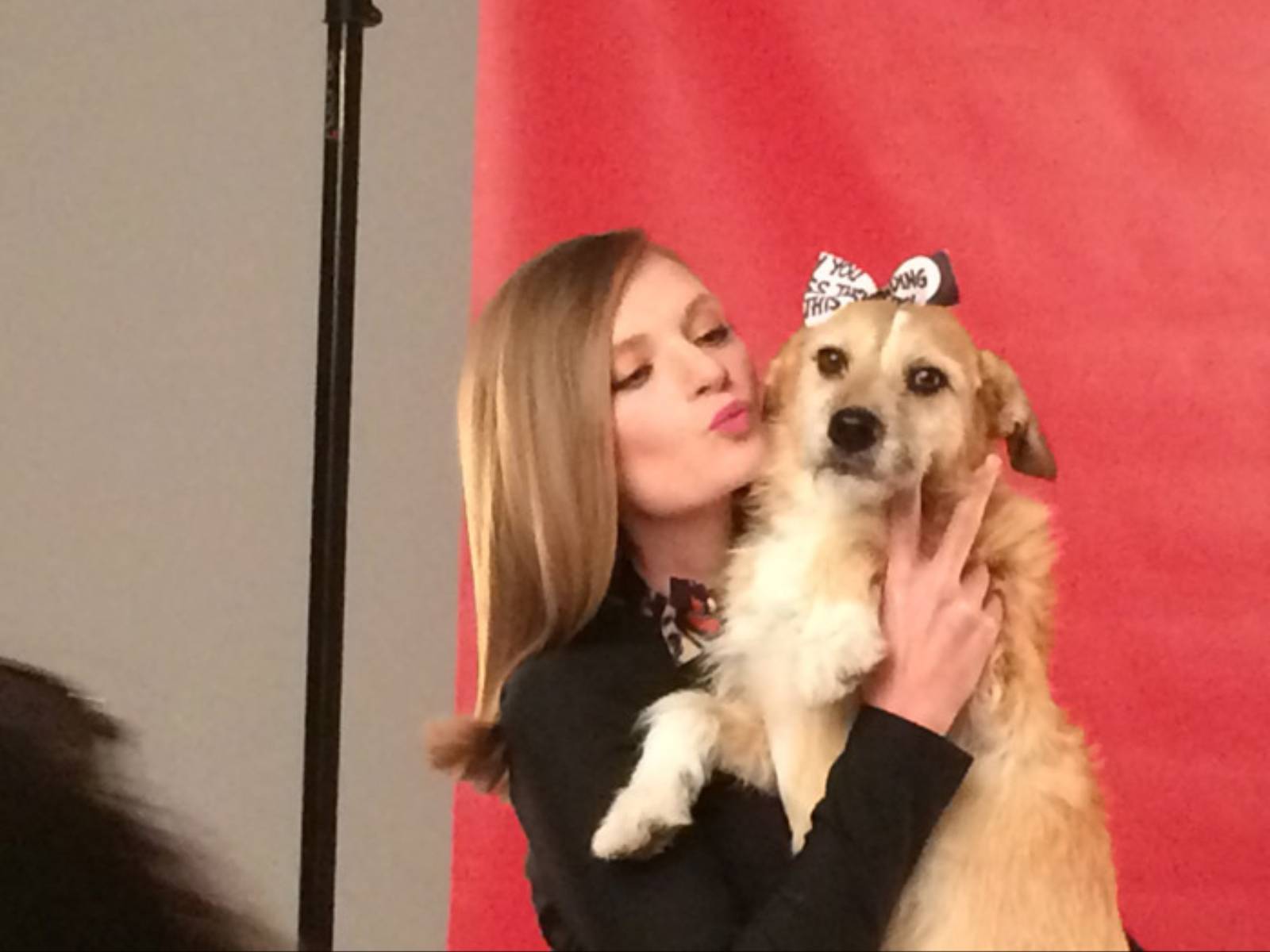 Paka dla Bezdomniaka (7)