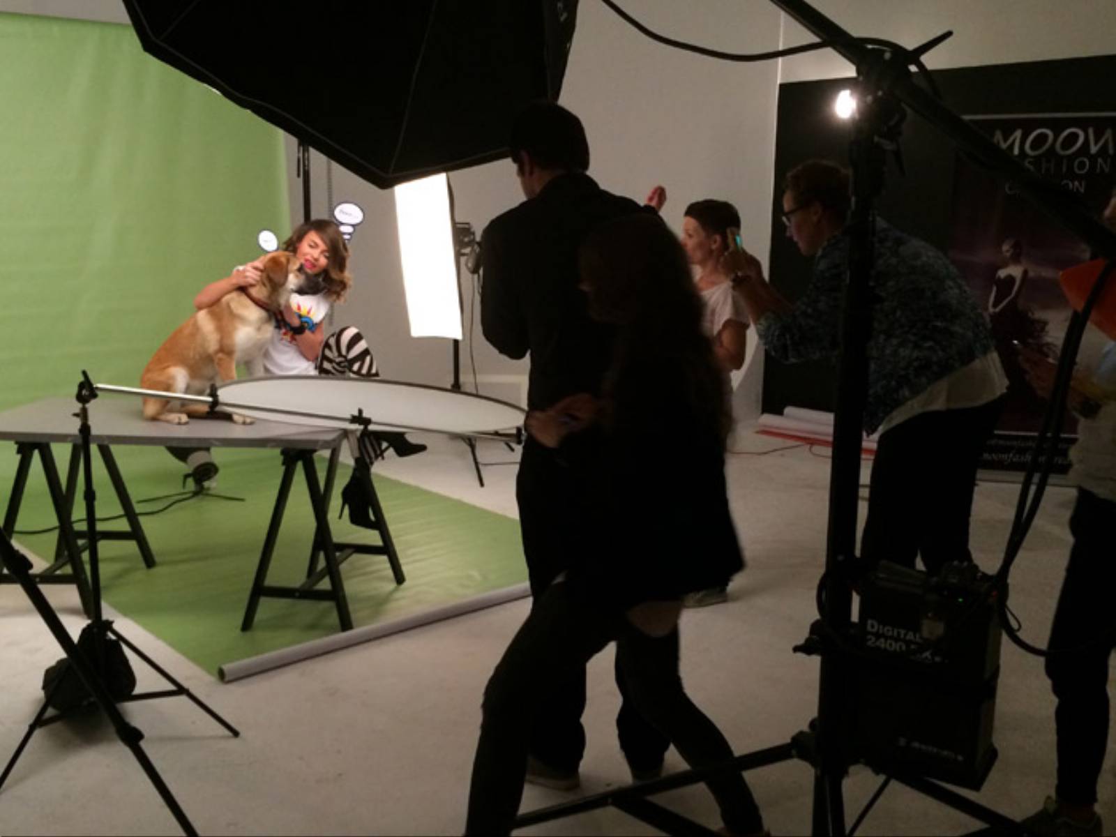 Paka dla Bezdomniaka