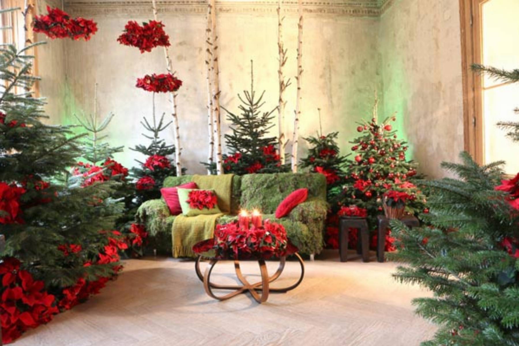 rotkaeppchen-highlights_pl