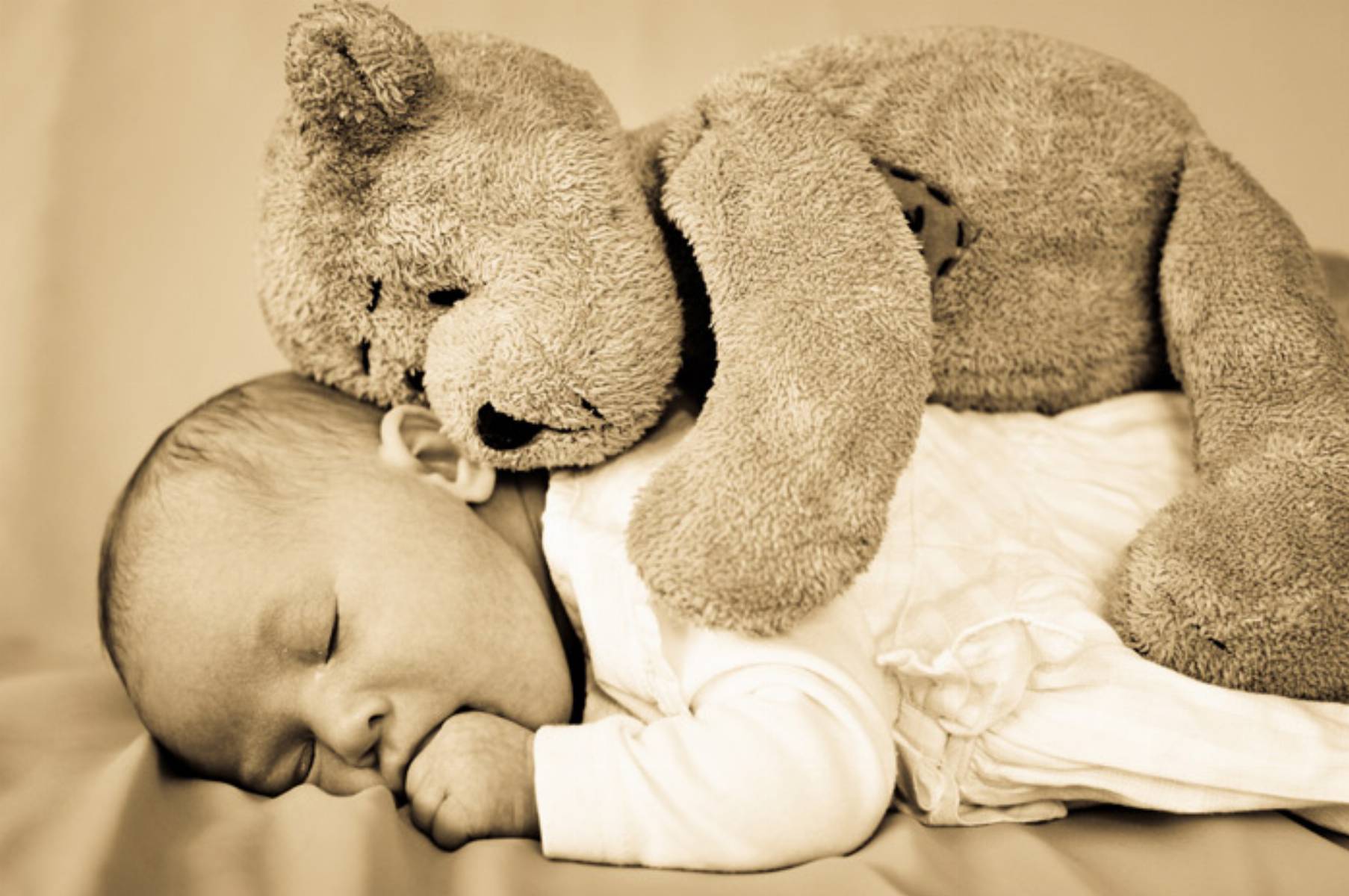 Fot.-Katarzyna-Piwecka