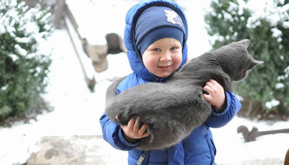 małe dziecko na zimowym spacerze