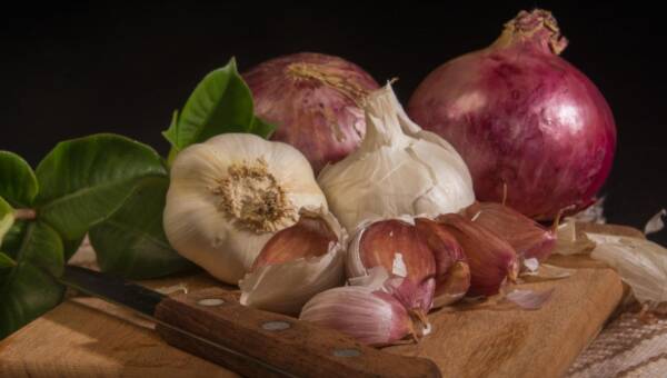 cebula i czosnek