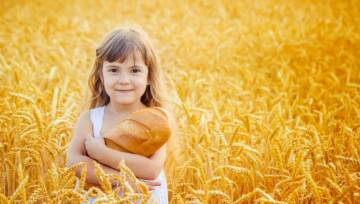 dziecko na polu pszenicy