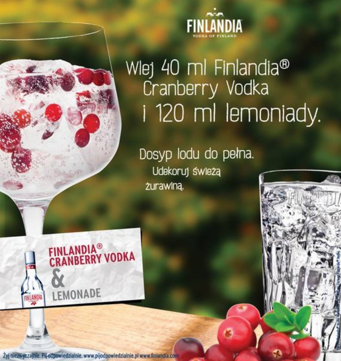 pomysł na drinki na lato (5)