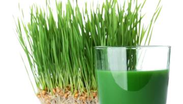 zielony jęczmień do picia