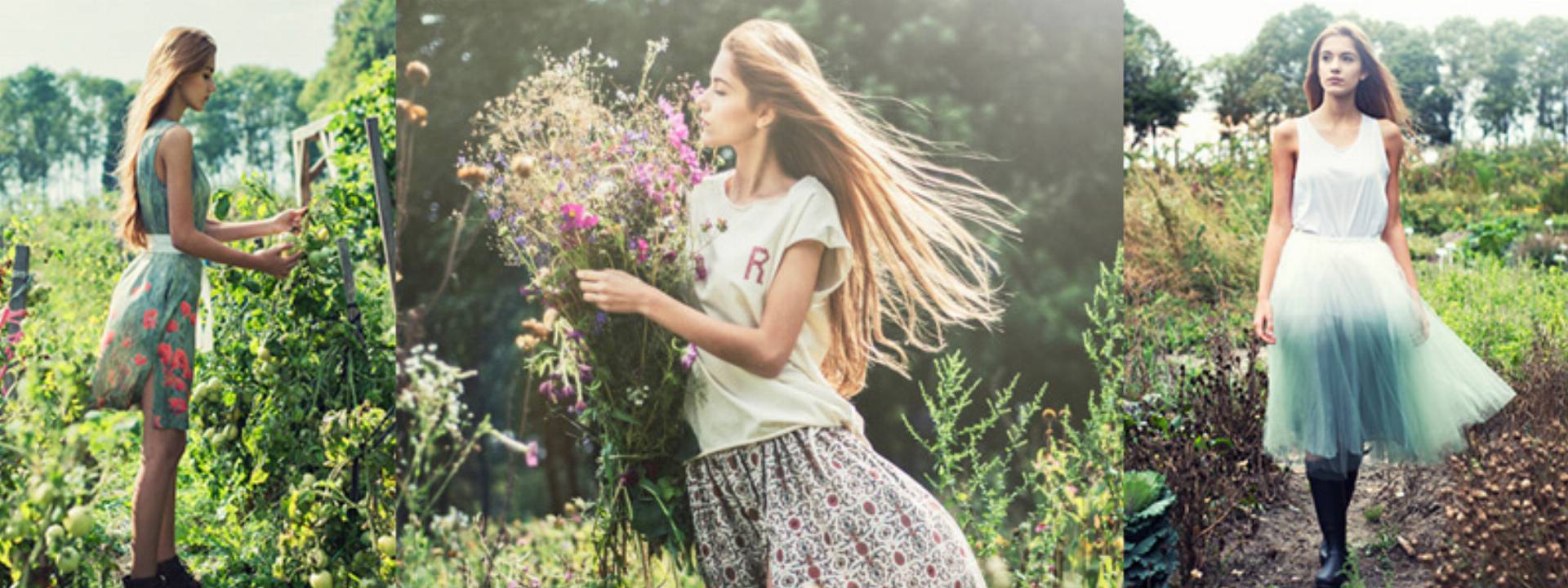 rabarbar wiosna lato 2016