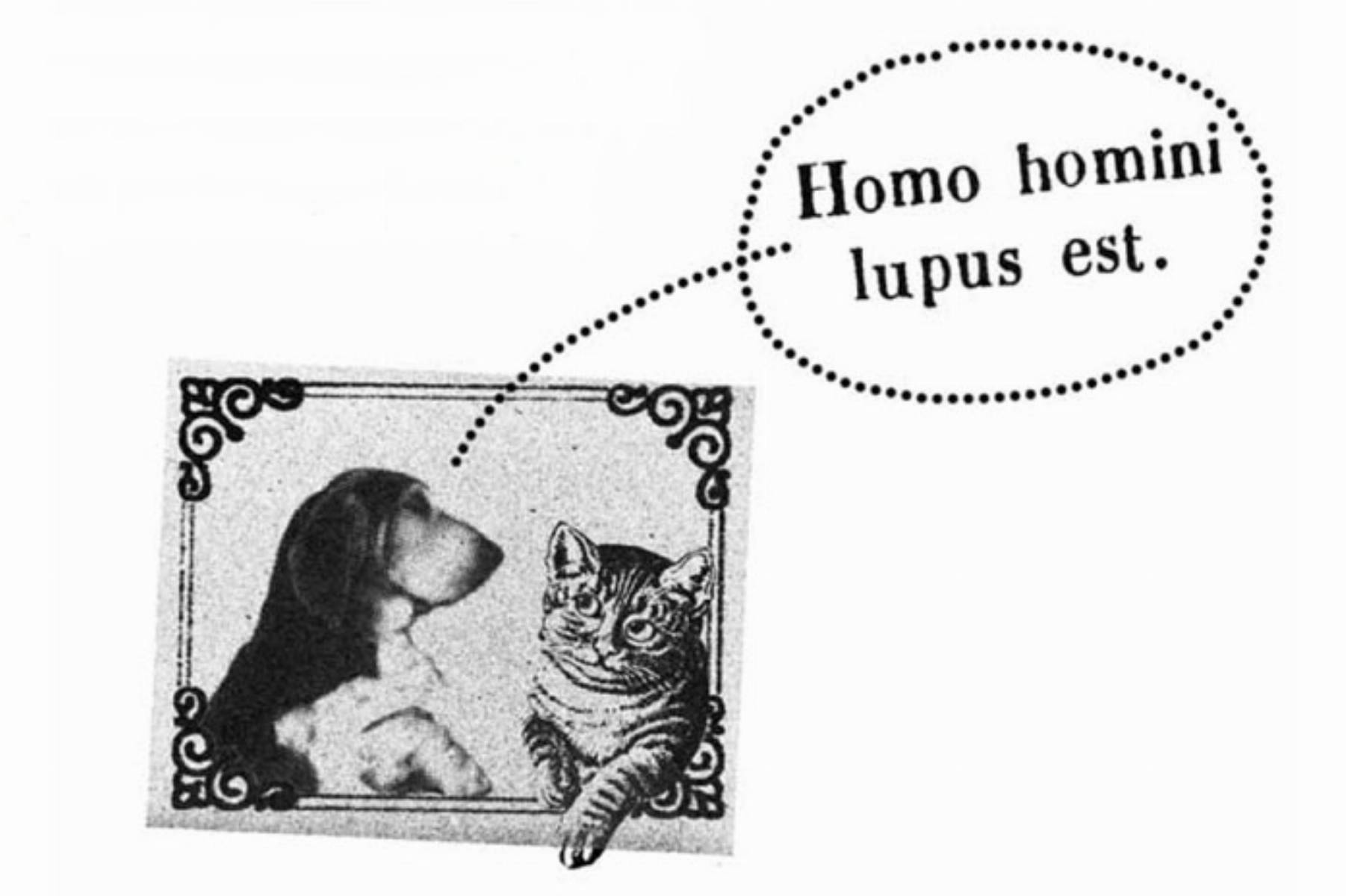 Homo homini lupus перевод. Хомо Хомини Люпус. Homo Homini Lupus est. Homo Homini Lupus est тату. Надпись homo Homini Lupus est.