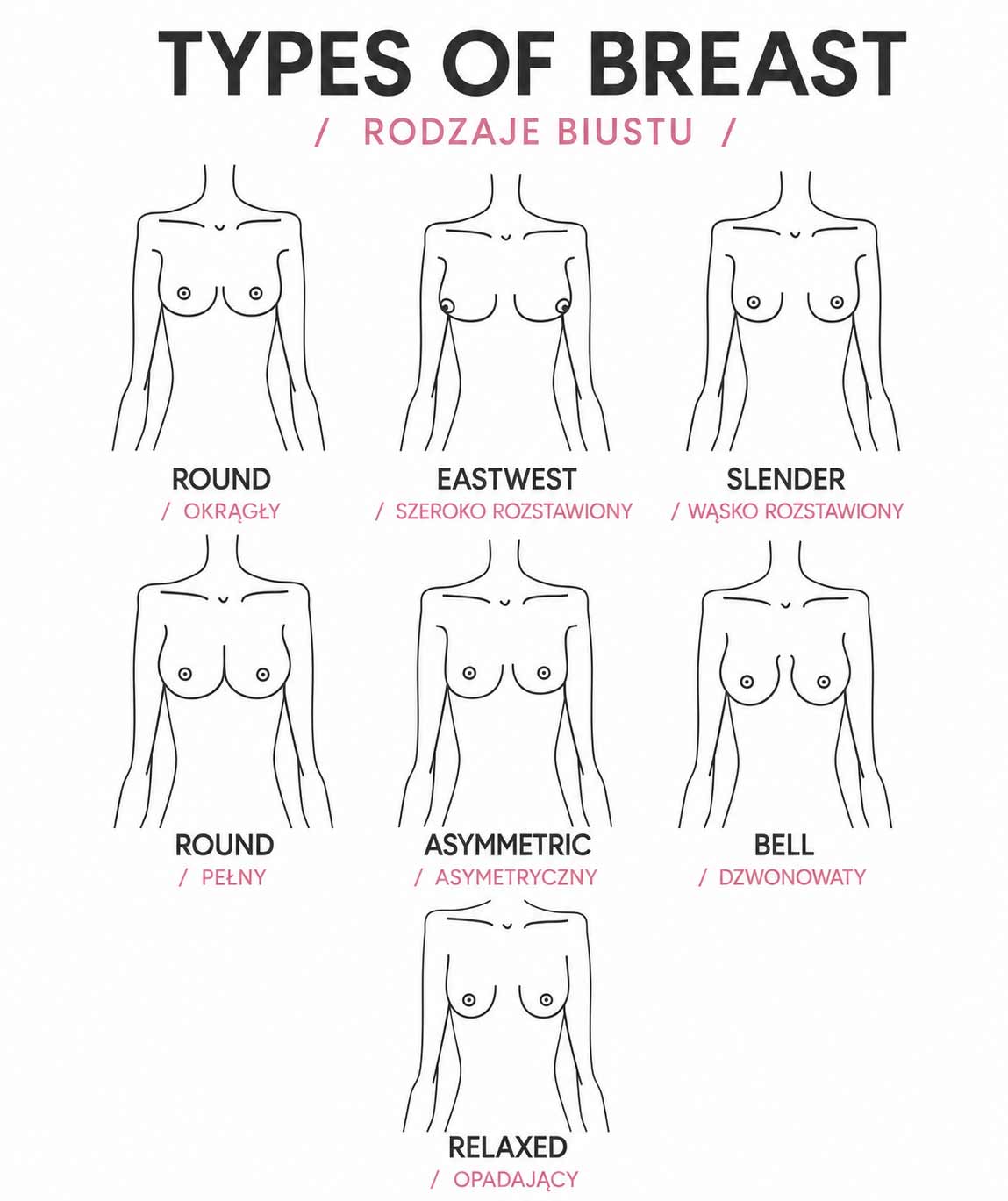 Kształty biustu - infografika