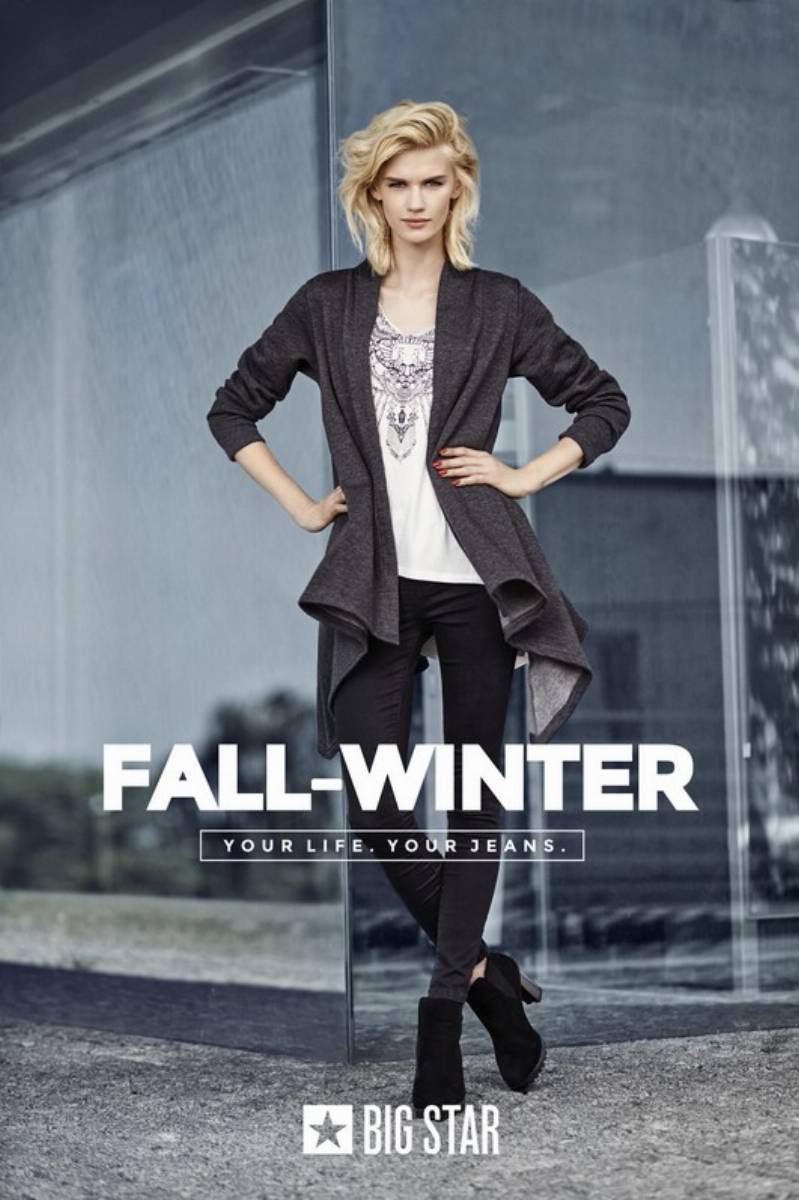 BIG STAR_Vintage (4)