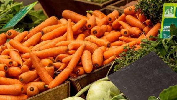 Najlepsze polskie „ superfoods ” – 7 owoców i warzyw, których nie może zabraknąć w Twojej diecie!