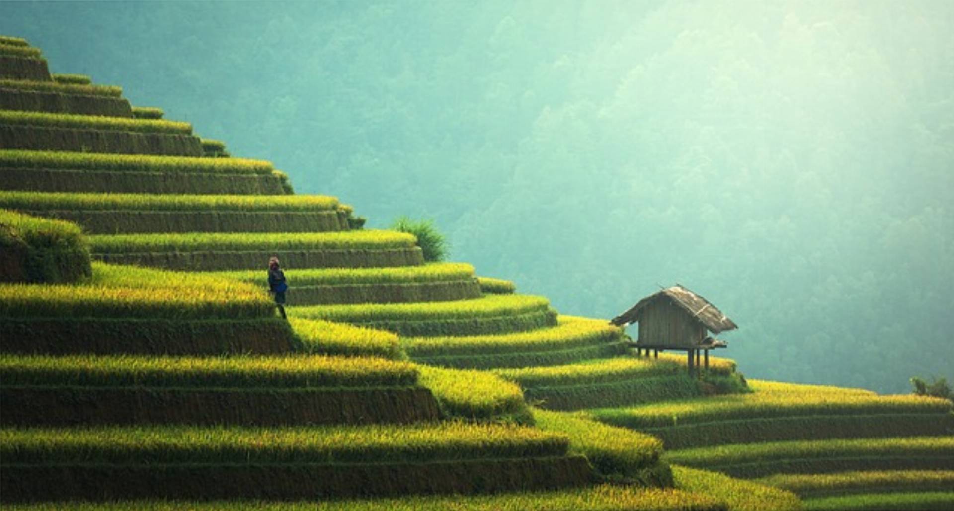chiny