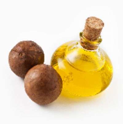 Najlepsze olejki do włosów olej macadamia