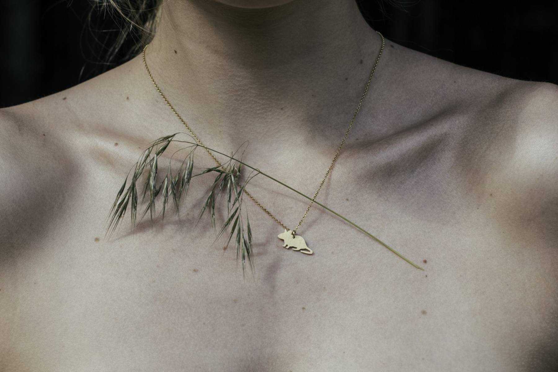 kolekcja-bizuterii-pan-tu-nie-stal-animal-kingdom-7