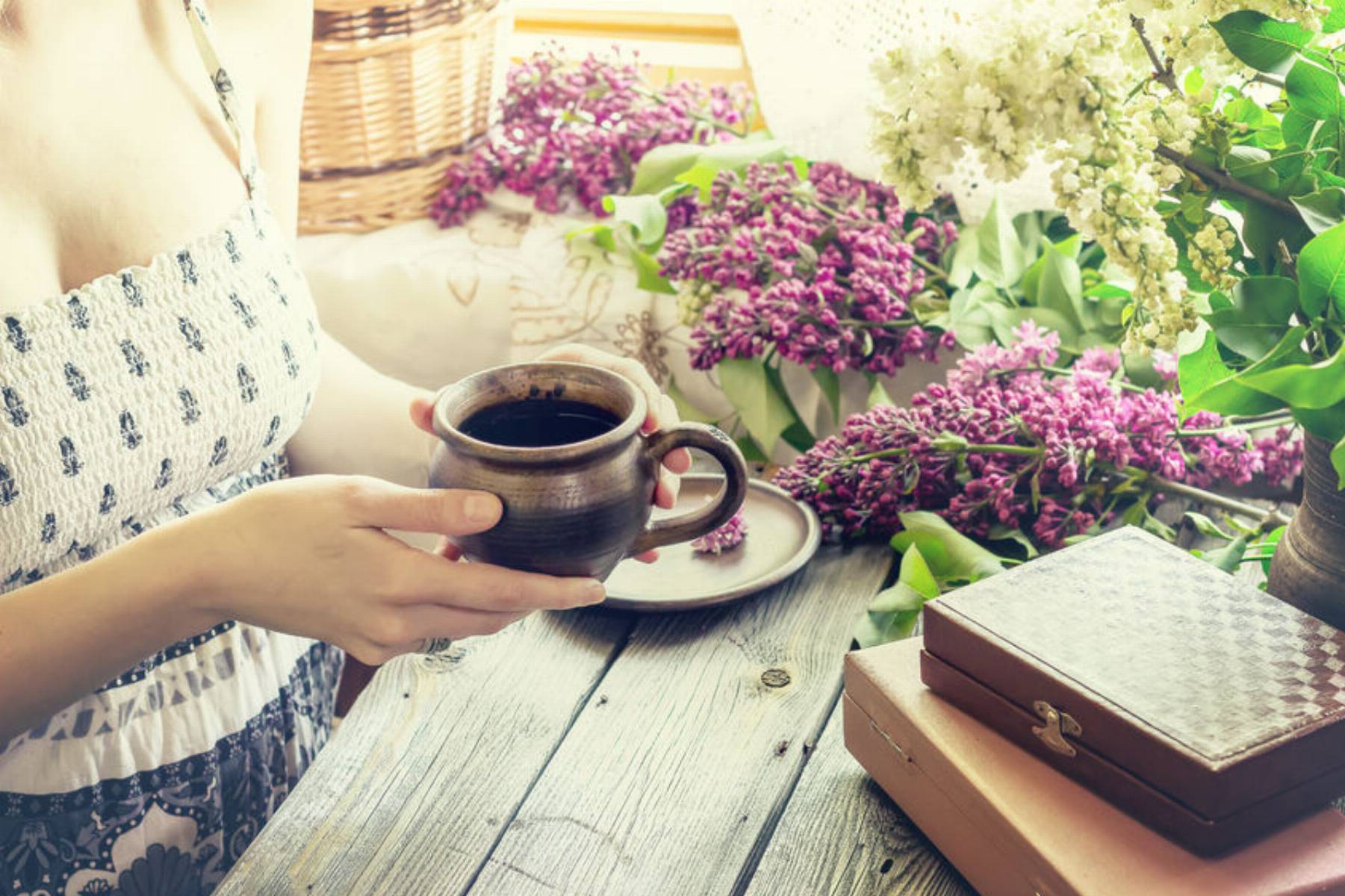 rośliny łatwe w uprawie