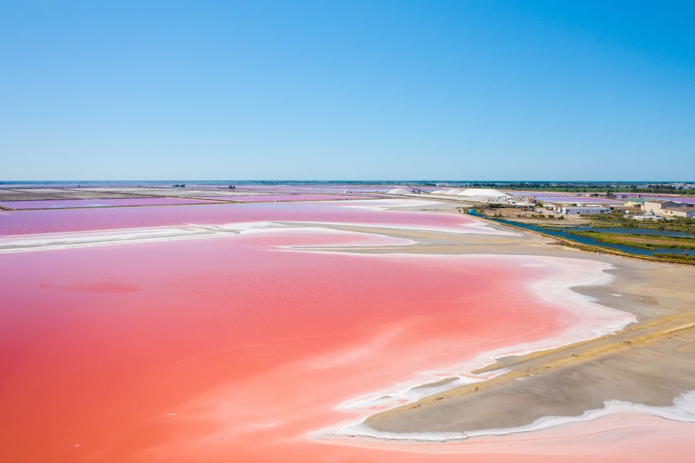 Pink Lake
