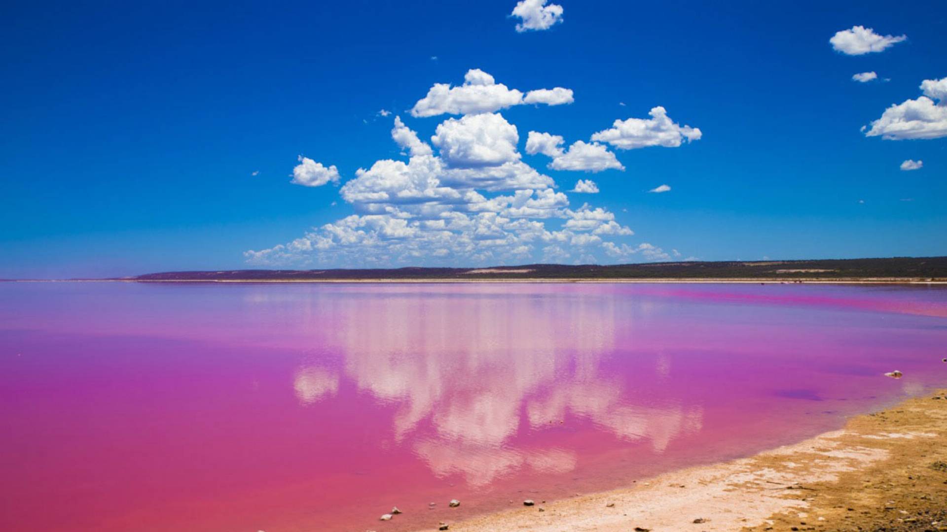 Розовое озеро сасык. Кояшское озеро Керчь. Озеро Сасык Сиваш Керчь. Озеро Ретба Крым. Розовое озеро Сасык-Сиваш.