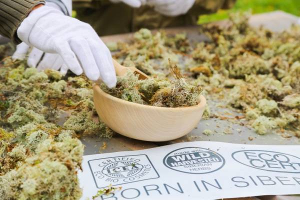 Jak rozpoznać prawdziwy kosmetyk naturalny – eko, bio, organic?