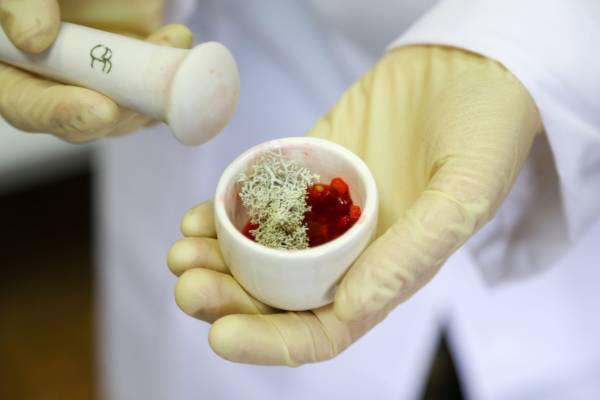 Jak rozpoznać prawdziwy kosmetyk naturalny – eko, bio, organic?